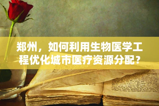 郑州，如何利用生物医学工程优化城市医疗资源分配？