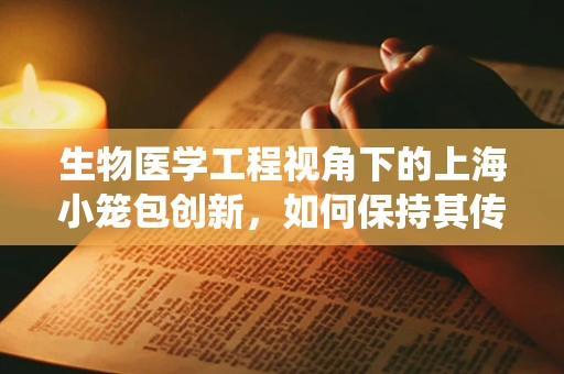 生物医学工程视角下的上海小笼包创新，如何保持其传统风味与现代卫生标准？