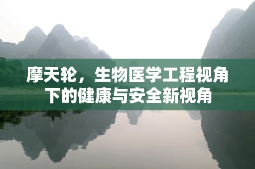 摩天轮，生物医学工程视角下的健康与安全新视角