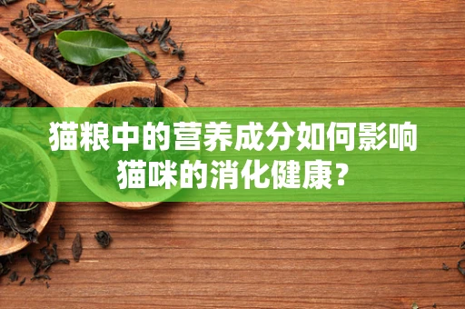 猫粮中的营养成分如何影响猫咪的消化健康？