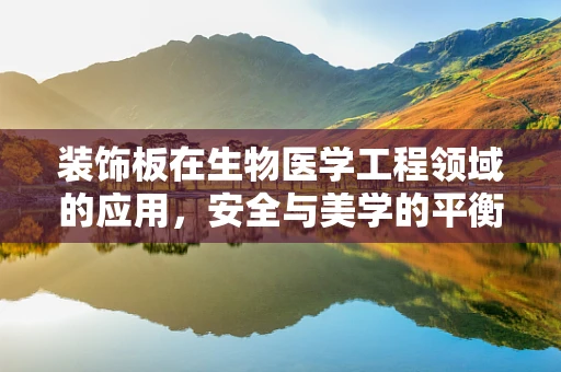 装饰板在生物医学工程领域的应用，安全与美学的平衡？