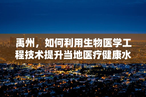 禹州，如何利用生物医学工程技术提升当地医疗健康水平？
