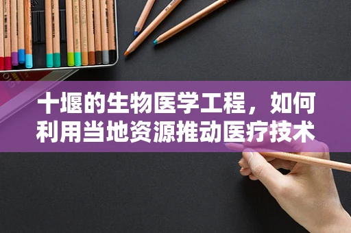 十堰的生物医学工程，如何利用当地资源推动医疗技术创新？