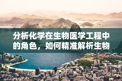 分析化学在生物医学工程中的角色，如何精准解析生物样本？