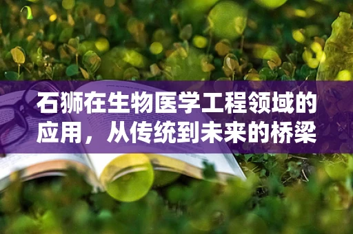 石狮在生物医学工程领域的应用，从传统到未来的桥梁
