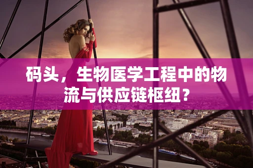 码头，生物医学工程中的物流与供应链枢纽？