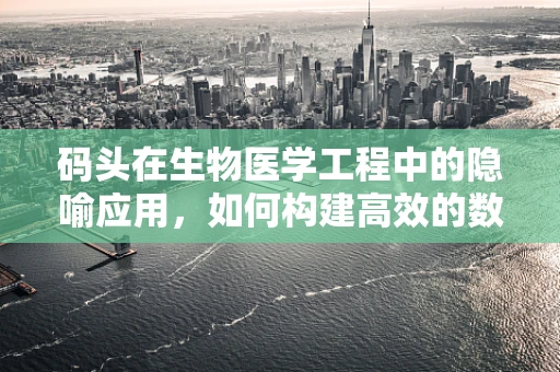 码头在生物医学工程中的隐喻应用，如何构建高效的数据传输‘港口’？