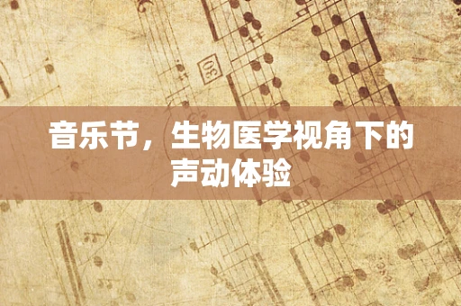 音乐节，生物医学视角下的声动体验