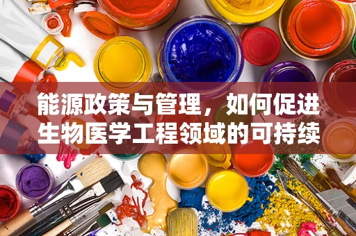 能源政策与管理，如何促进生物医学工程领域的可持续发展？