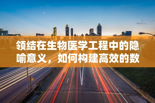 领结在生物医学工程中的隐喻意义，如何构建高效的数据处理‘领结’？