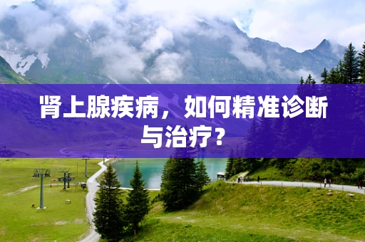 肾上腺疾病，如何精准诊断与治疗？