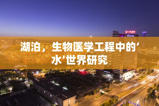 湖泊，生物医学工程中的‘水’世界研究
