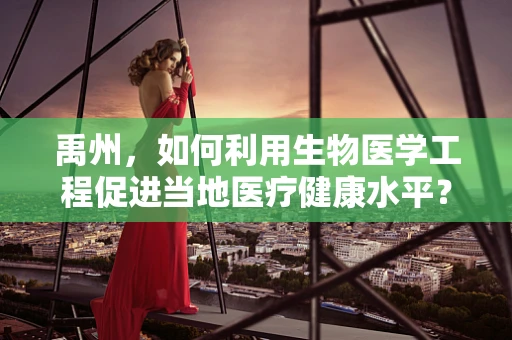 禹州，如何利用生物医学工程促进当地医疗健康水平？