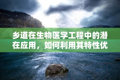 乡道在生物医学工程中的潜在应用，如何利用其特性优化偏远地区医疗服务？
