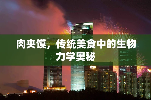 肉夹馍，传统美食中的生物力学奥秘