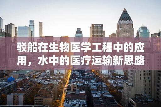 驳船在生物医学工程中的应用，水中的医疗运输新思路？