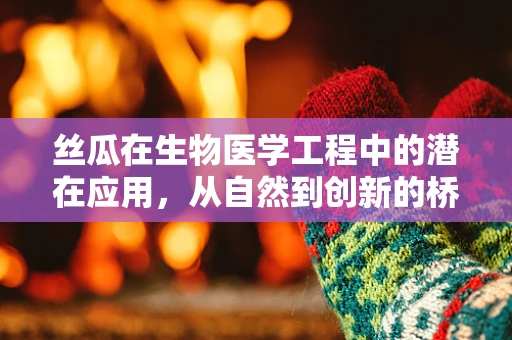 丝瓜在生物医学工程中的潜在应用，从自然到创新的桥梁