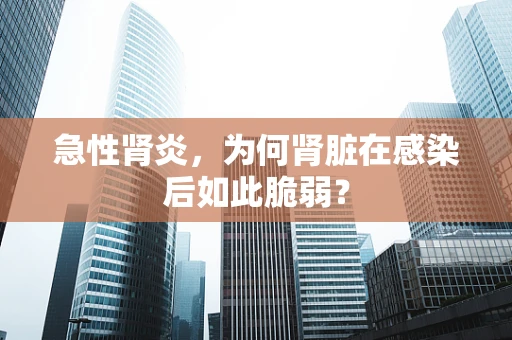 急性肾炎，为何肾脏在感染后如此脆弱？
