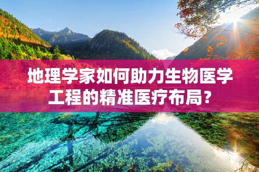 地理学家如何助力生物医学工程的精准医疗布局？