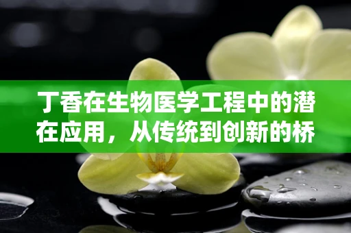 丁香在生物医学工程中的潜在应用，从传统到创新的桥梁