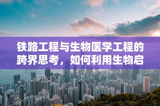 铁路工程与生物医学工程的跨界思考，如何利用生物启发的技术优化铁路安全？