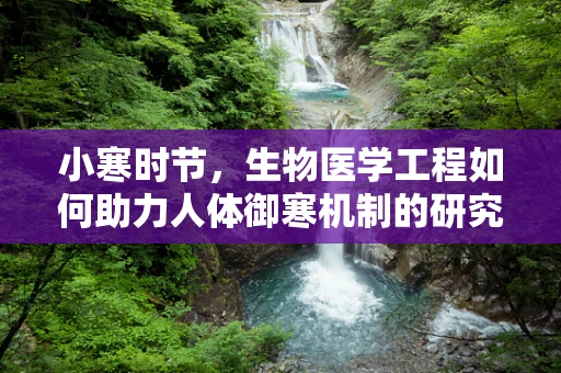 小寒时节，生物医学工程如何助力人体御寒机制的研究？