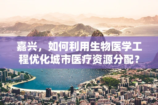 嘉兴，如何利用生物医学工程优化城市医疗资源分配？