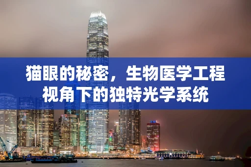 猫眼的秘密，生物医学工程视角下的独特光学系统