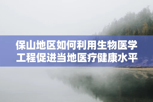 保山地区如何利用生物医学工程促进当地医疗健康水平提升？
