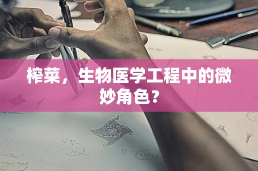 榨菜，生物医学工程中的微妙角色？