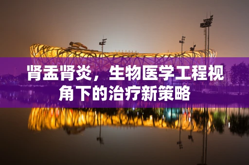 肾盂肾炎，生物医学工程视角下的治疗新策略