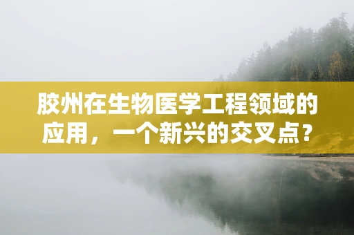 胶州在生物医学工程领域的应用，一个新兴的交叉点？