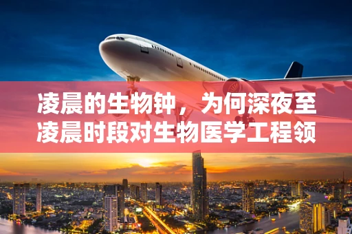 凌晨的生物钟，为何深夜至凌晨时段对生物医学工程领域的研究如此关键？