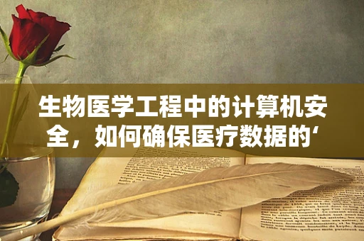 生物医学工程中的计算机安全，如何确保医疗数据的‘生命线’？