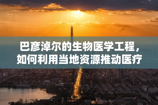 巴彦淖尔的生物医学工程，如何利用当地资源推动医疗创新？