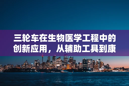 三轮车在生物医学工程中的创新应用，从辅助工具到康复新星？