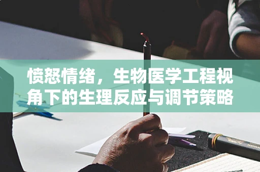 愤怒情绪，生物医学工程视角下的生理反应与调节策略
