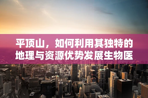 平顶山，如何利用其独特的地理与资源优势发展生物医学工程？