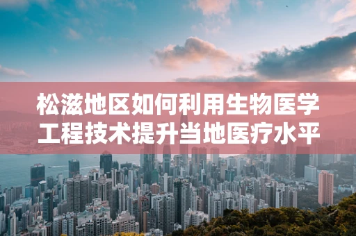 松滋地区如何利用生物医学工程技术提升当地医疗水平？
