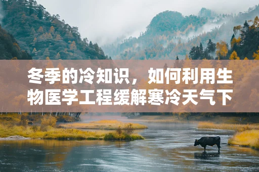 冬季的冷知识，如何利用生物医学工程缓解寒冷天气下的健康挑战？