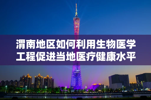 渭南地区如何利用生物医学工程促进当地医疗健康水平提升？