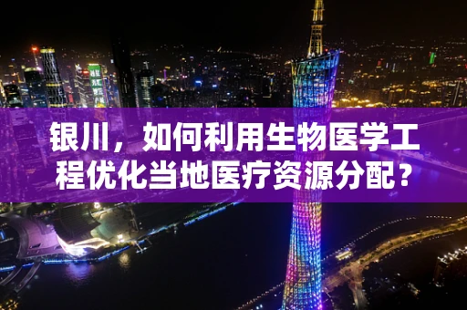 银川，如何利用生物医学工程优化当地医疗资源分配？