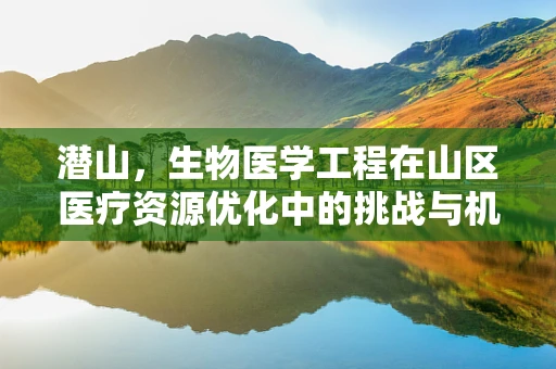 潜山，生物医学工程在山区医疗资源优化中的挑战与机遇？