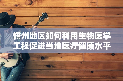 儋州地区如何利用生物医学工程促进当地医疗健康水平提升？