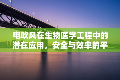 电吹风在生物医学工程中的潜在应用，安全与效率的平衡