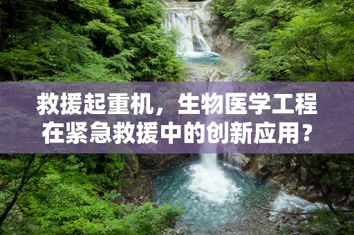 救援起重机，生物医学工程在紧急救援中的创新应用？