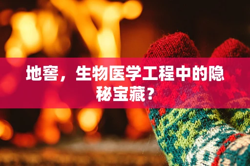 地窖，生物医学工程中的隐秘宝藏？