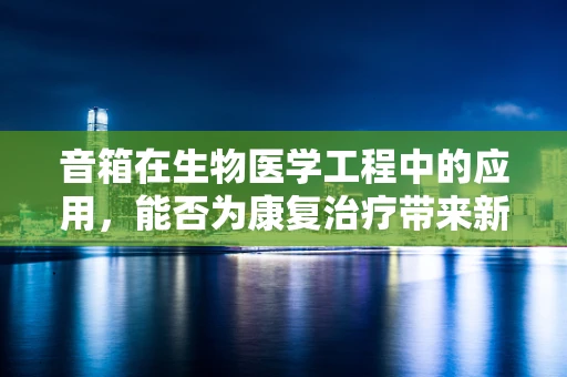 音箱在生物医学工程中的应用，能否为康复治疗带来新突破？