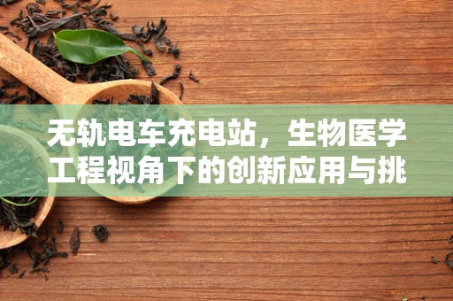 无轨电车充电站，生物医学工程视角下的创新应用与挑战