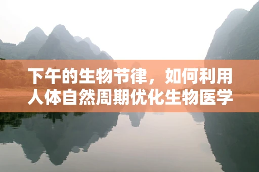 下午的生物节律，如何利用人体自然周期优化生物医学工程应用？